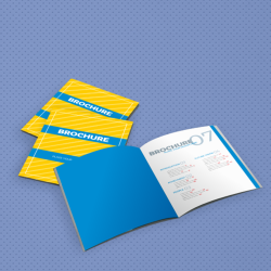 Brochures